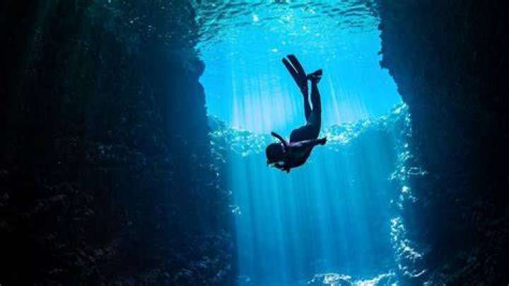 A Deep Dive Into 