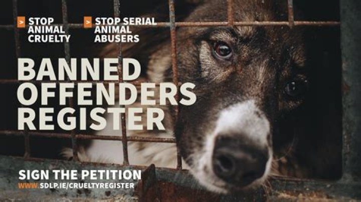 A Disturbing Case Of Animal Cruelty On Social