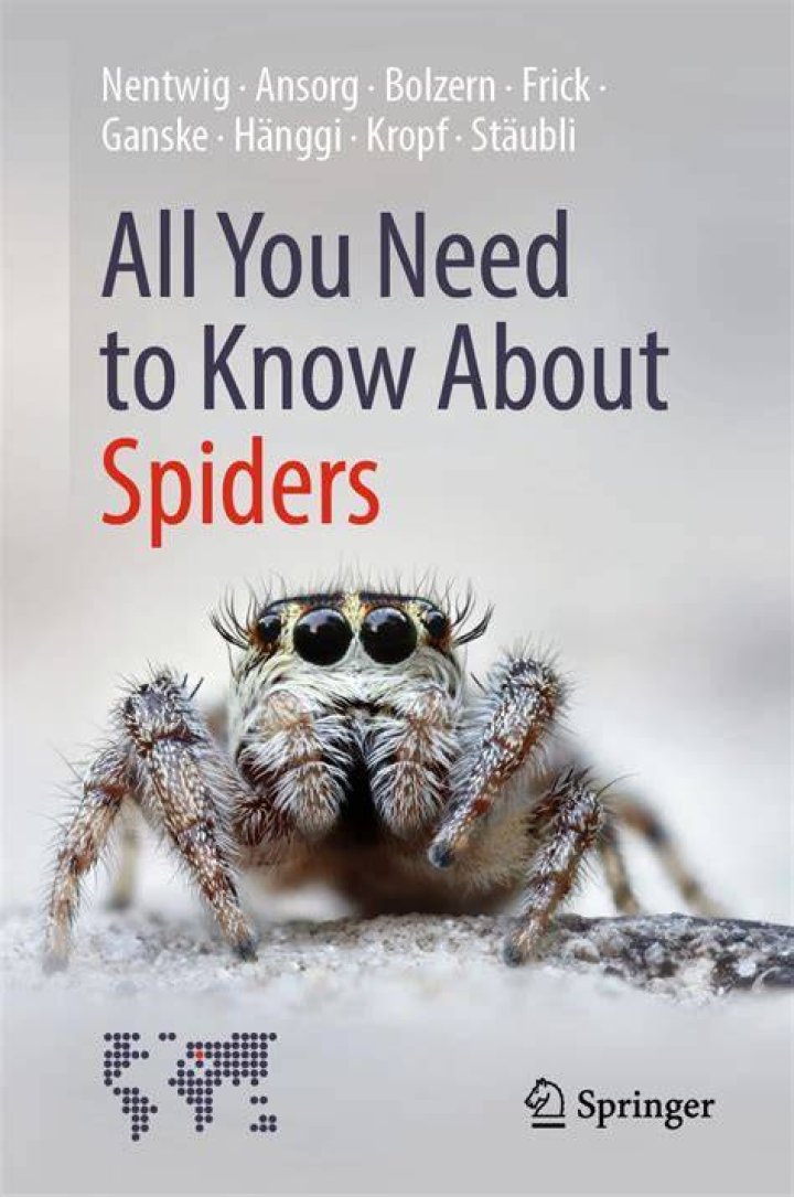 All You Need To Know About The 