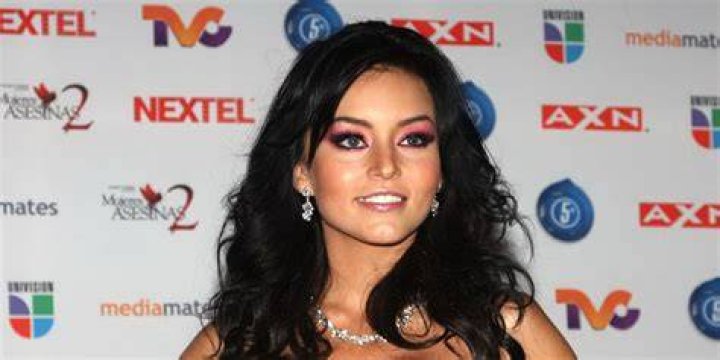 Angelique Boyer Net Worth ·