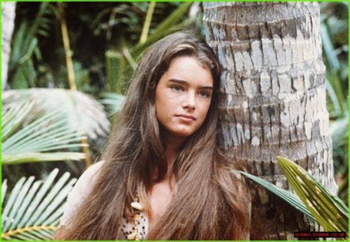 Brooke Shields - Bio, Age, Married, Nationality, Body Measurement, Career |