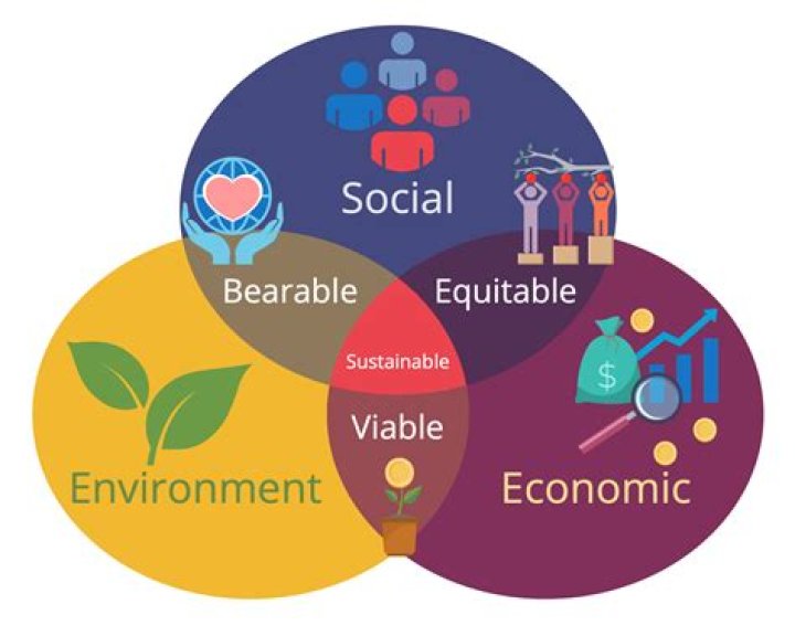 Discover The Art Of Sustainability And Social Justice With Ivon Gaete