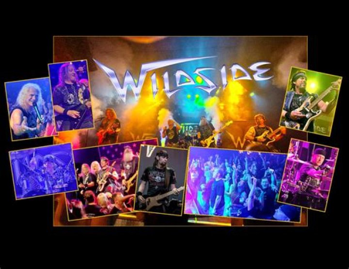 Discover Wildside Band San Diego's Musical Odyssey