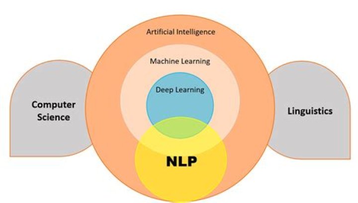 Discoveries And Insights In AI And NLP