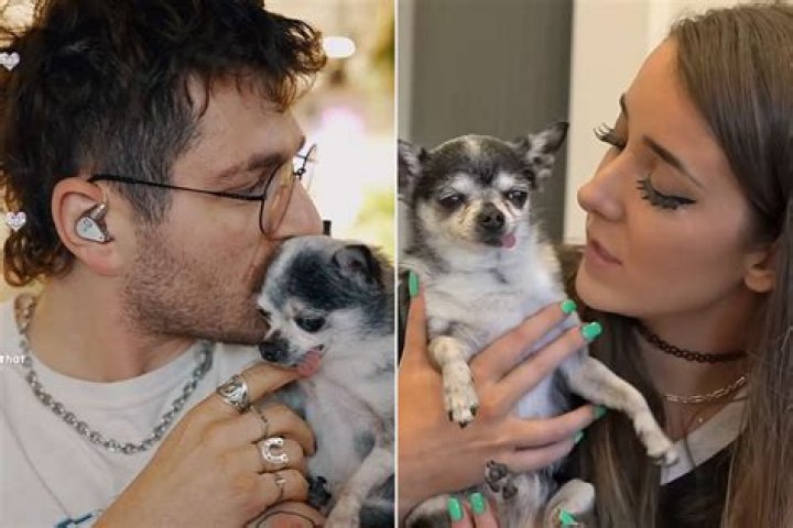 Julien Solomita's Influence On Jenna Marbles' Empire