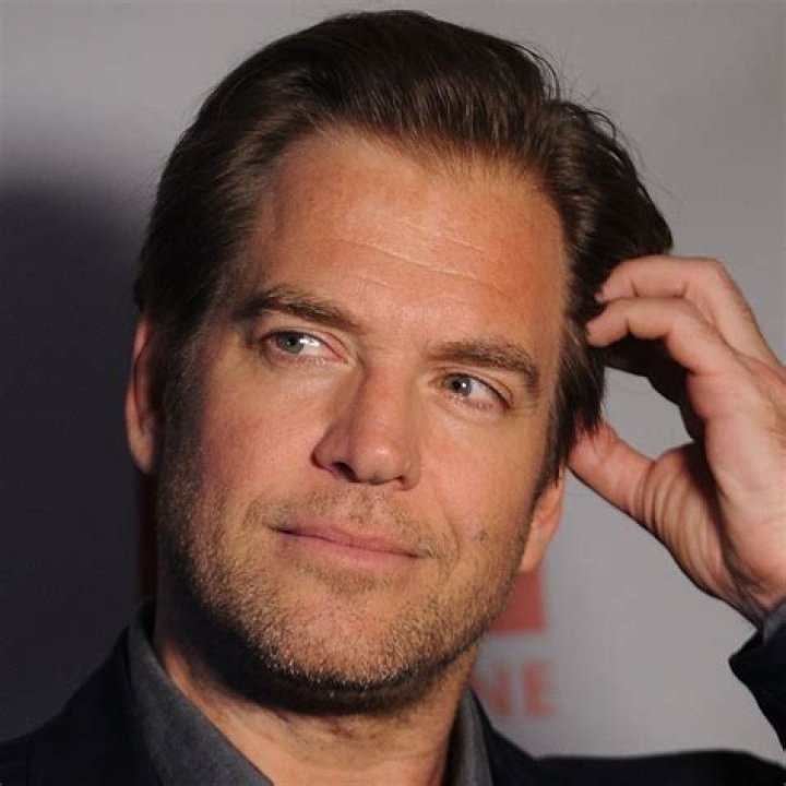Michael Weatherly's Wealth, Life, And Career: Uncovering The Hidden Truths