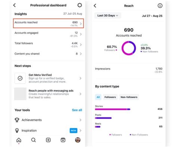 Ranking, Weight, And Instagram Insights
