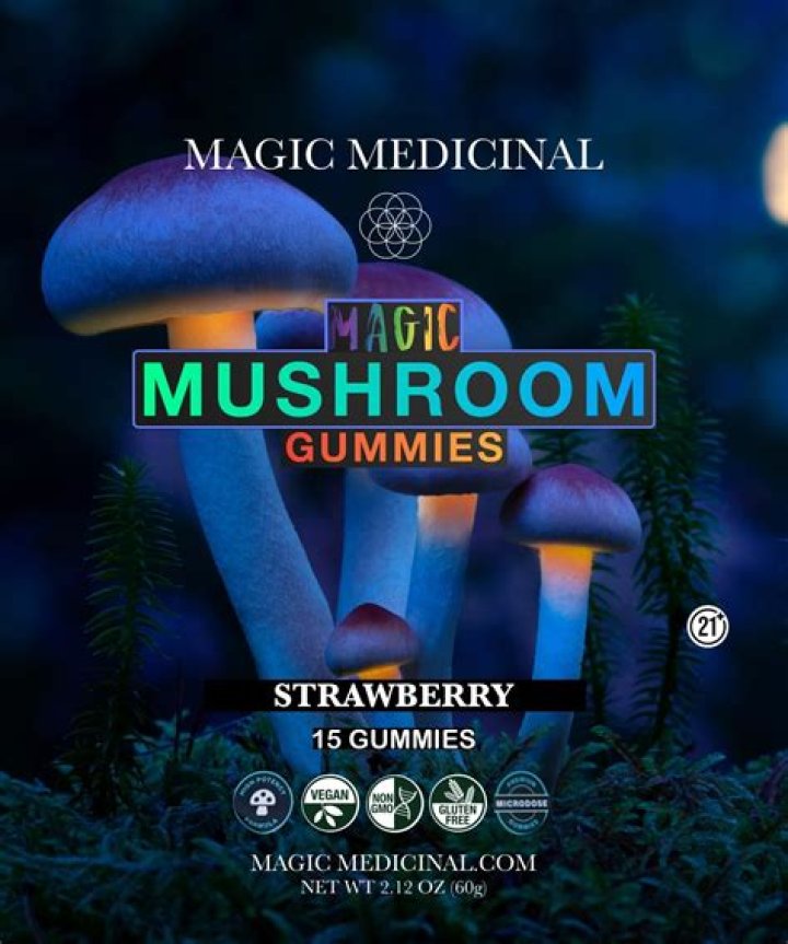 Road Trip's Magic Mushroom Gummies Are Going Mainstream ·