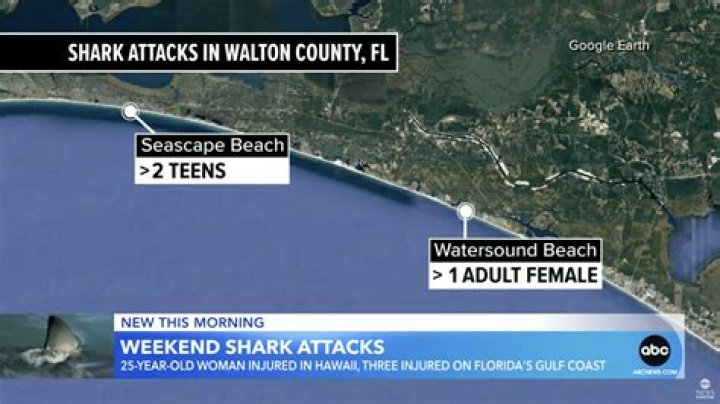 Shark attack fatal for Washington man