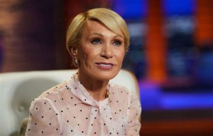 The Blonde Flamingo Net Worth 2024 |