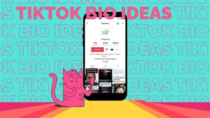 What Does DMV Mean on TikTok Bio?