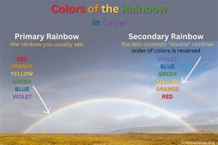 What is the Colour of elephant? ·