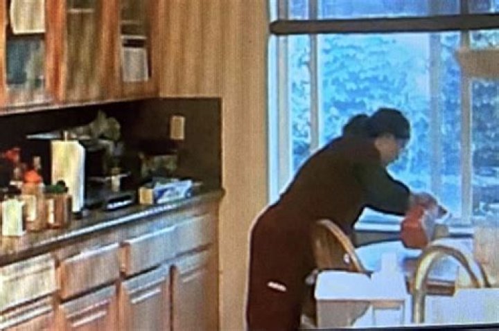 Yue Yu pleads not guilty to poisoning husband with Drano ·